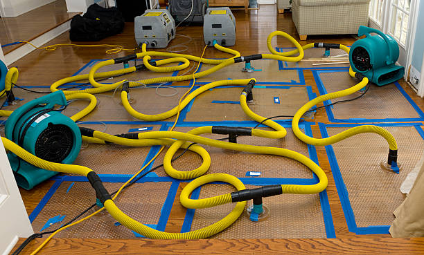 Professional Water Extraction technician working in Edison, OH